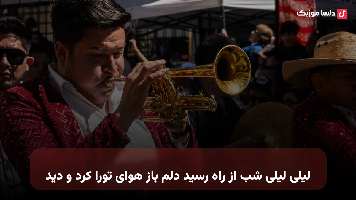 لیلی لیلی شب از راه رسید دلم باز هوای تورا کرد و دید